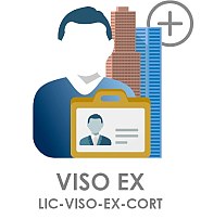 LIC-VISO-EX-CORT - licencja na integrację z oprogramowaniem GANZ CORTROL
