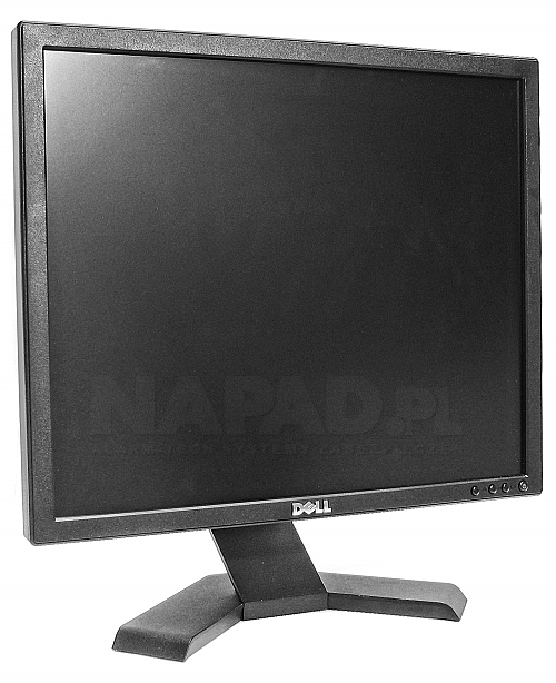 Monitor LCD Dell 19