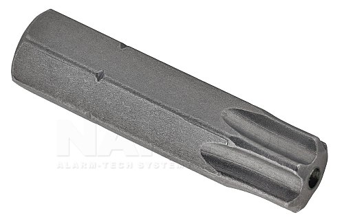 Bit 25mm Torx
