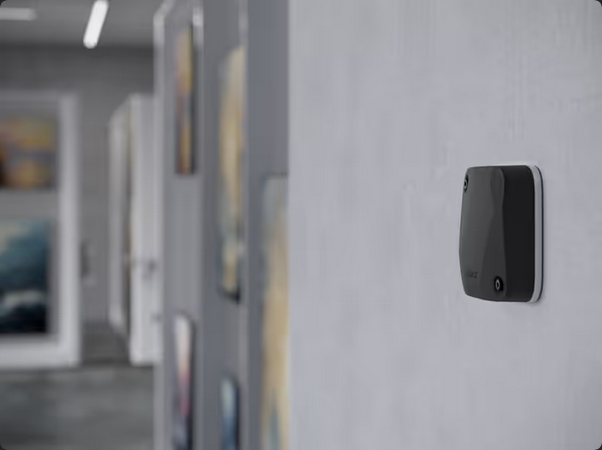  Superior SeismoProtect G3 Fibra - przykładowe zastosowanie w muzeum.