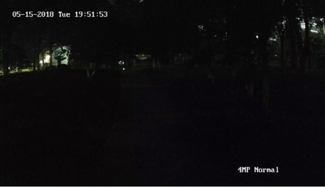 Porównanie działania kamer w warunkach nocnych.