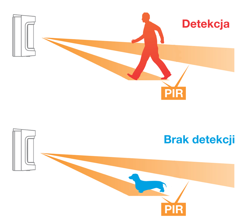 Cyfrowy dwukanałowy algorytm detekcji.